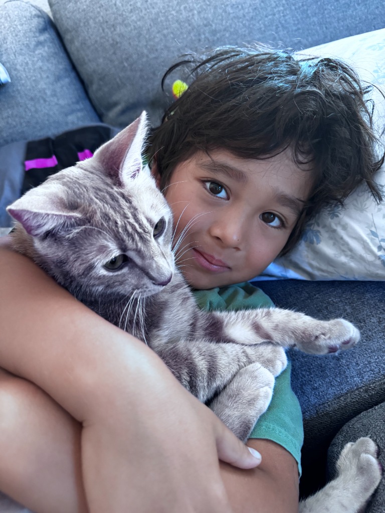 Feline Friend Protocol