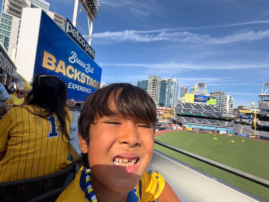 Banana Ball Stadium View